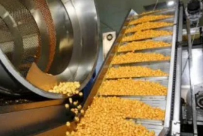 Hot Popcorn Supplier’s Dedication to OEM Excellence